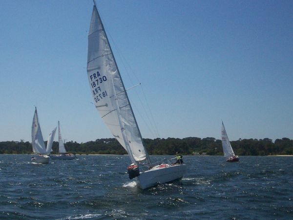 La solitaire – photo 56