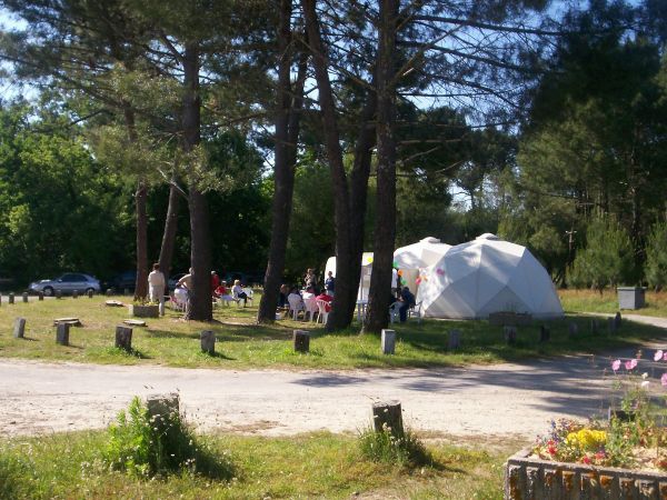 La solitaire – photo 5