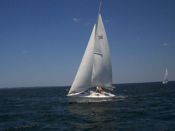 La solitaire – photo 43