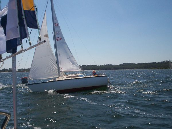 La solitaire – photo 70