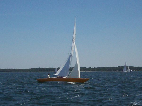La solitaire – photo 55