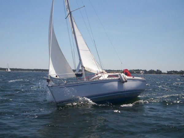 La solitaire – photo 48