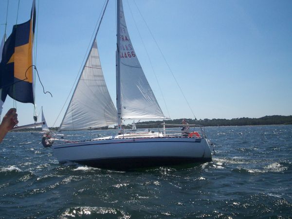 La solitaire – photo 62