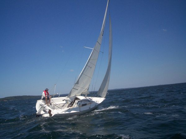La solitaire – photo 46