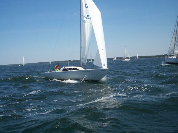 La solitaire – photo 63