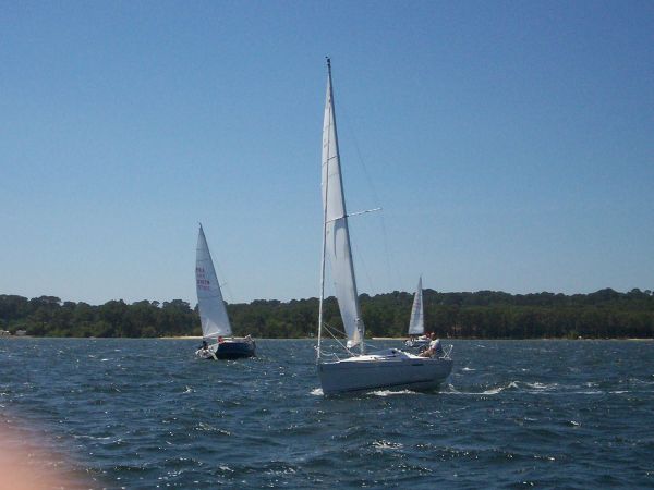 La solitaire – photo 52