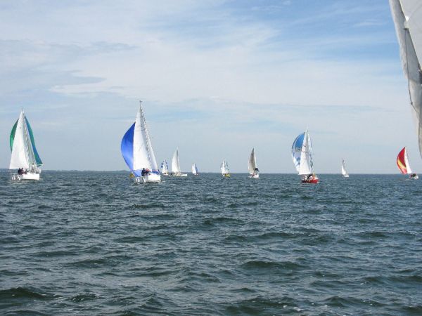La Botalo – photo 33