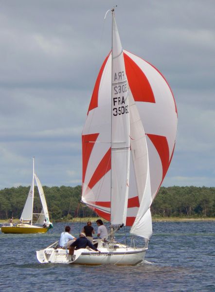 Régate d'été – photo 35