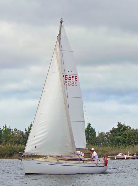 Régate d'été – photo 76