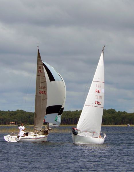 Régate d'été – photo 30