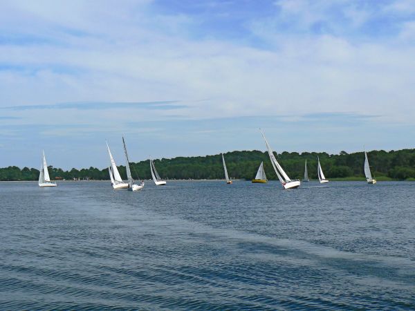 1homme 1femme 1bateau – photo 106