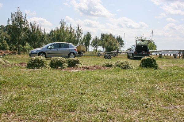 Opération néttoyage – photo 18
