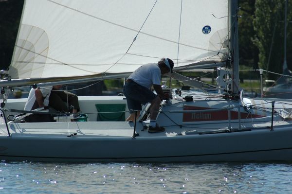 Championnat de printemps – photo 10