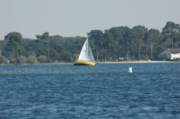 Championnat de printemps – photo 36