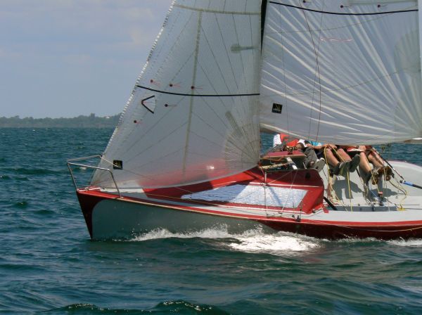 TdF Micro – photo 265