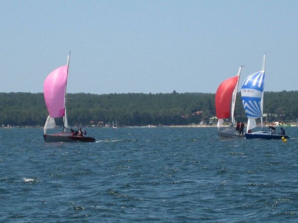 TdF Micro – photo 71