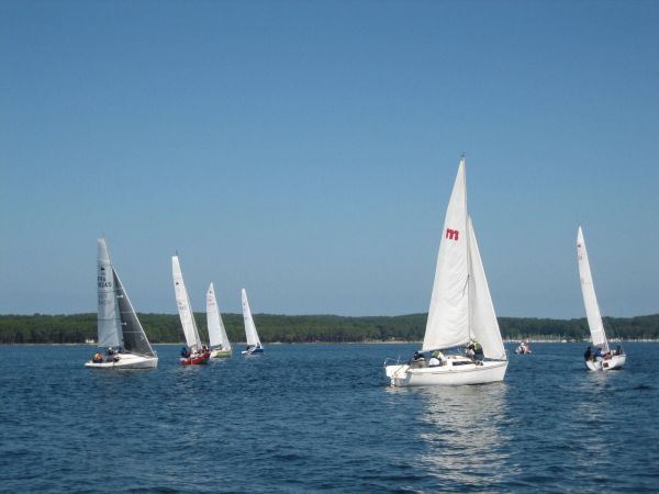 TdF Micro – photo 46