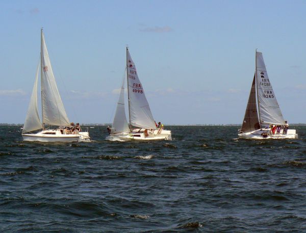 TdF Micro – photo 110