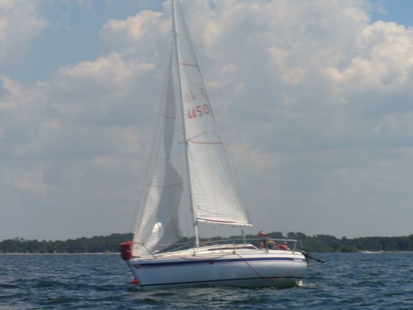 La solitaire – photo 29