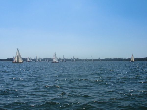 La solitaire – photo 22