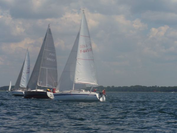 La solitaire – photo 30
