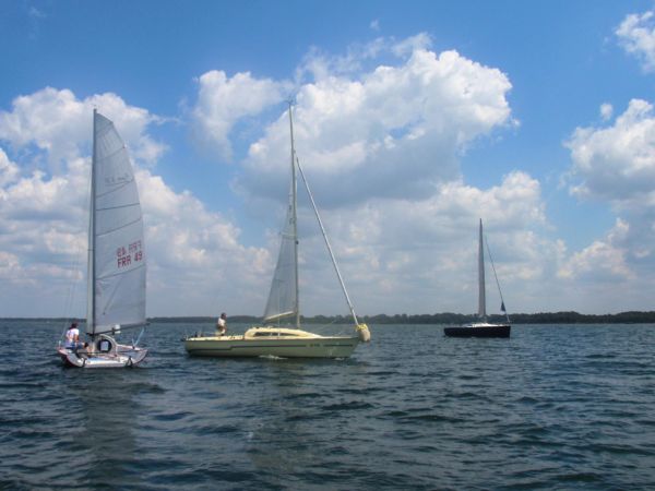 La solitaire – photo 10