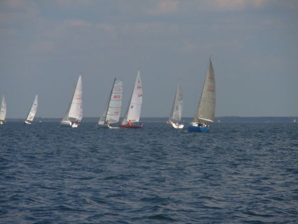 La solitaire – photo 36
