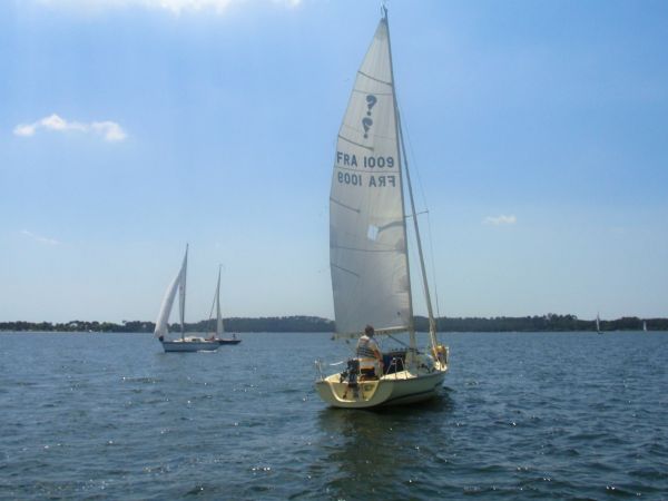 La solitaire – photo 11