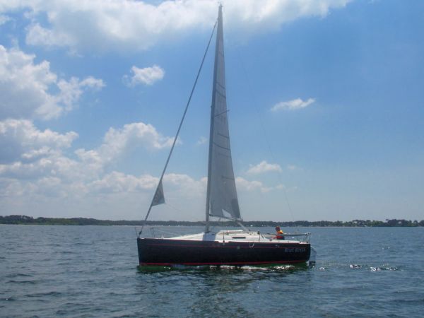 La solitaire – photo 6