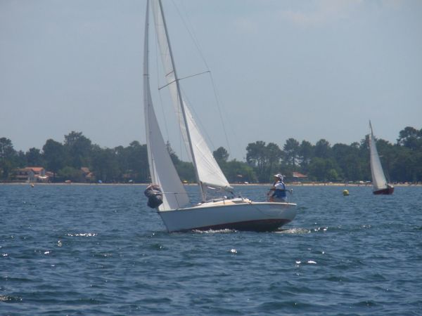 La solitaire – photo 33