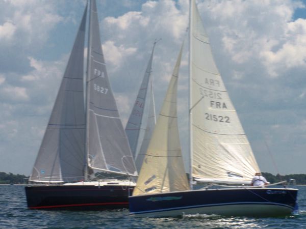 La solitaire – photo 28