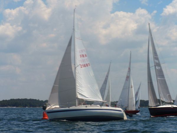 La solitaire – photo 26