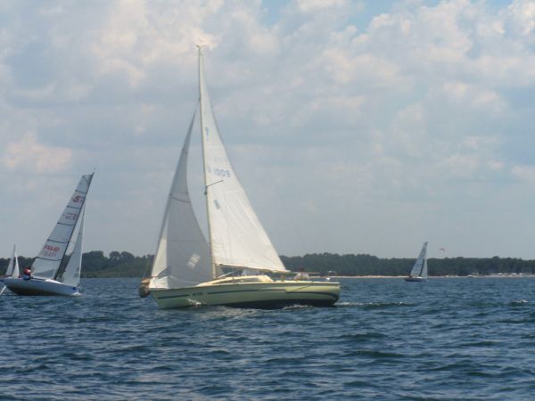 La solitaire – photo 23