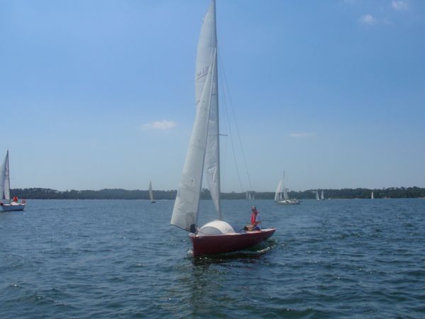 La solitaire – photo 8