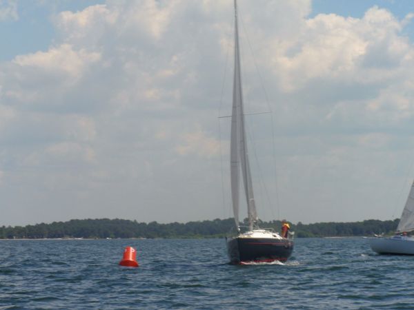 La solitaire – photo 27