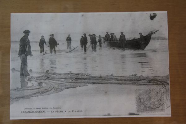 Sortie bac à voile – photo 79