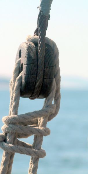 Sortie bac à voile – photo 45