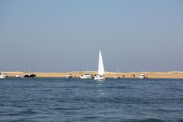 Sortie bac à voile – photo 62