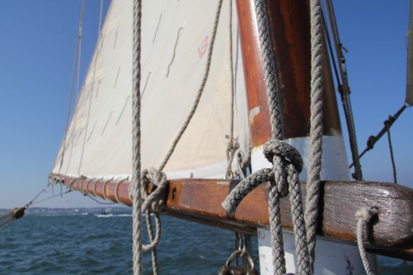 Sortie bac à voile – photo 28