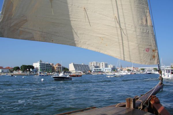 Sortie bac à voile – photo 10