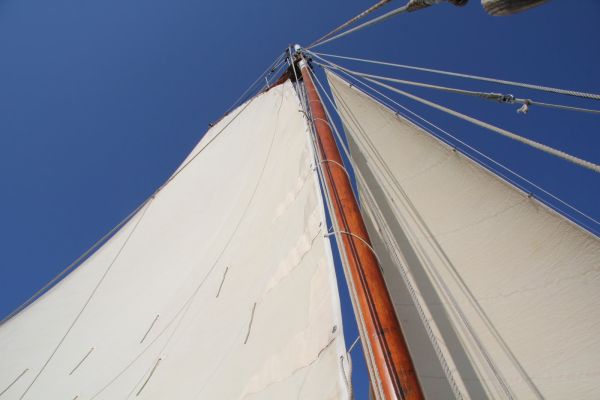 Sortie bac à voile – photo 25