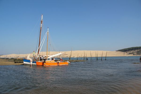 Sortie bac à voile – photo 71