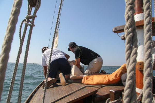 Sortie bac à voile – photo 53