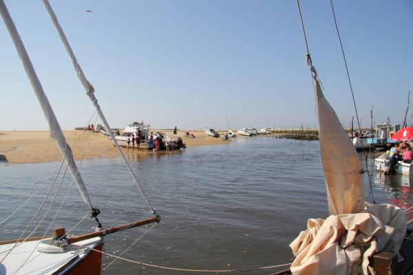 Sortie bac à voile – photo 70
