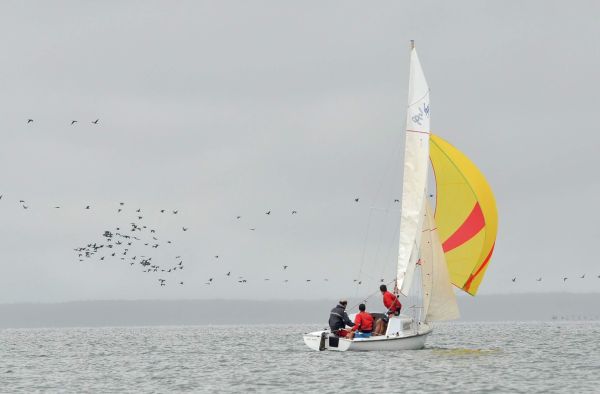Coupe d'aquitaine – photo 88