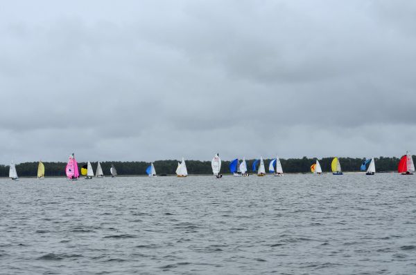 Coupe d'aquitaine – photo 104