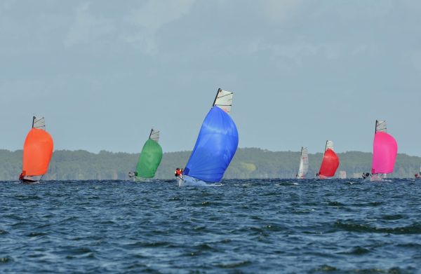 Coupe d'aquitaine – photo 102