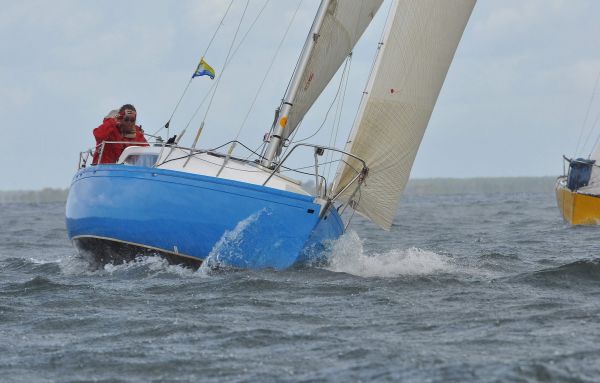 Coupe d'aquitaine – photo 20
