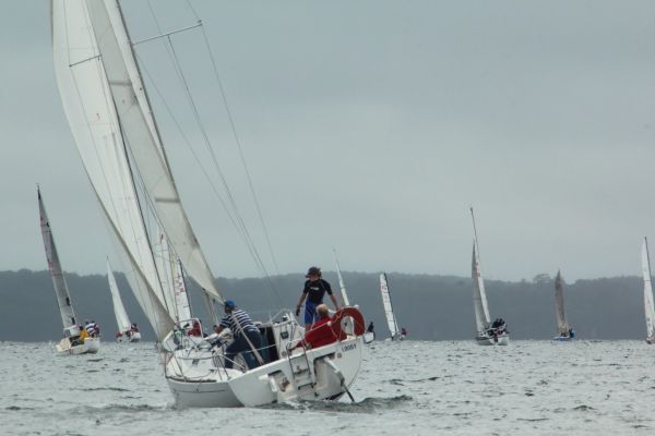 Coupe leclerc – photo 85