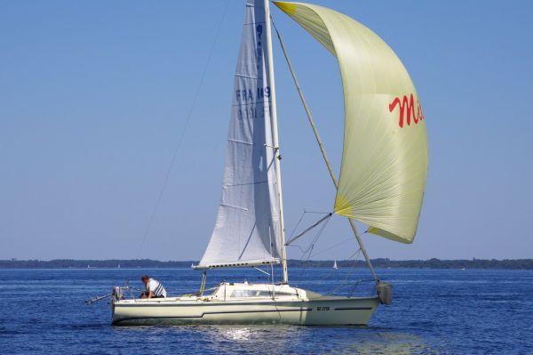 La solitaire – photo 99